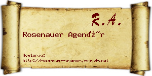 Rosenauer Agenór névjegykártya